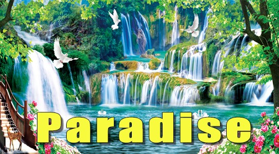 Paradise