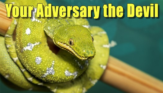 Your Adversary the Devil